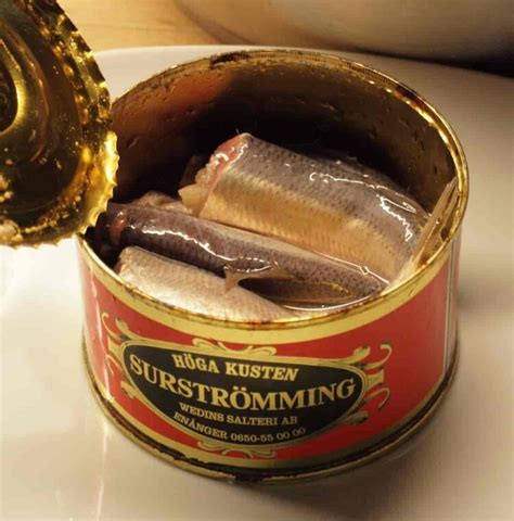 worlds smelliest fish in a can|Surströmming: The Swedish Stinky Fish Delicacy